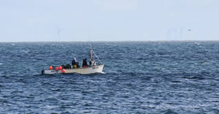 Picture - Small Fishing Boat off Staxigoe